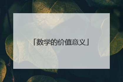 数学的价值意义