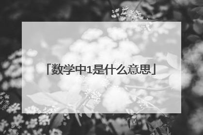 数学中1是什么意思