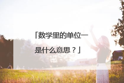 数学里的单位一是什么意思?