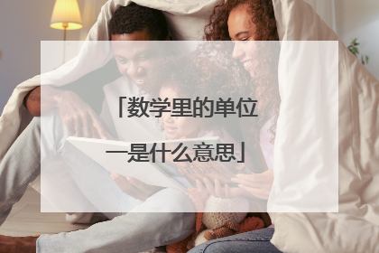 数学里的单位一是什么意思