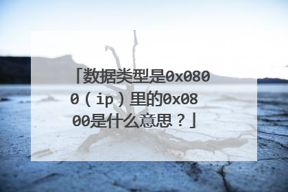 数据类型是0x0800(ip)里的0x0800是什么意思?