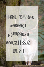 数据类型是0x0800(ip)里的0x0800是什么意思？