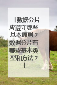 数据分片应遵守哪些基本原则?数据分片有哪些基本类型和方法?