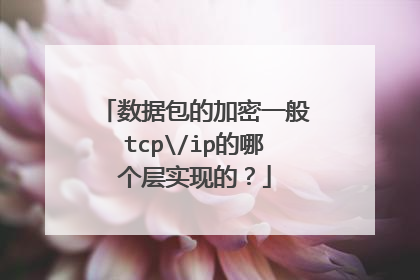 数据包的加密一般tcp/ip的哪个层实现的？