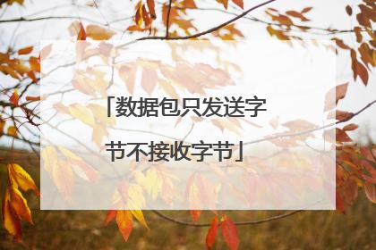 数据包只发送字节不接收字节