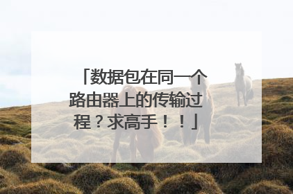 数据包在同一个路由器上的传输过程?求高手!!