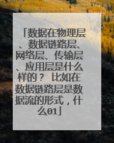 数据在物理层、数据链路层、网络层、传输层、应用层是什么样的？ 比如在数据链路层是数据流的形式，什么01