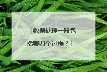 数据处理一般包括哪四个过程?