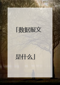 数据报文是什么