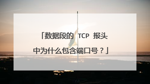 数据段的 TCP 报头中为什么包含端口号？