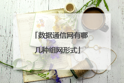 数据通信网有哪几种组网形式