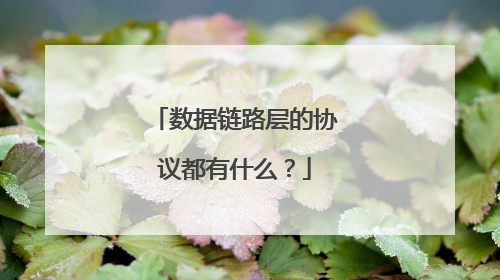 数据链路层的协议都有什么？