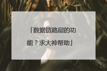 数据链路层的功能？求大神帮助