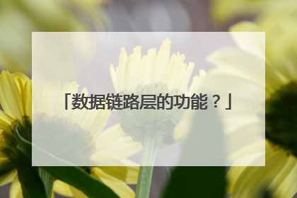 数据链路层的功能?