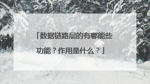 数据链路层的有哪能些功能?作用是什么?