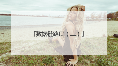 数据链路层（二）