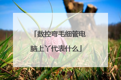 数控弯毛细管电脑上丫代表什么