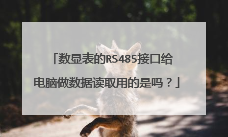 数显表的RS485接口给电脑做数据读取用的是吗?