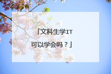 文科生学IT可以学会吗?