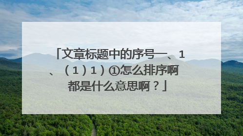文章标题中的序号一、1、（1）1）①怎么排序啊 都是什么意思啊？