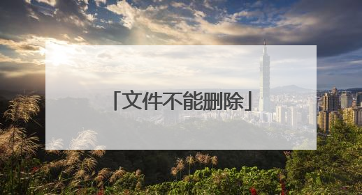 文件不能删除