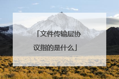 文件传输层协议指的是什么
