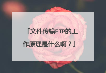 文件传输FTP的工作原理是什么啊?