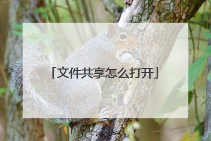文件共享怎么打开