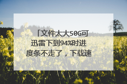 文件太大50G可迅雷下到94%时进度条不走了,下载速度还是100多K