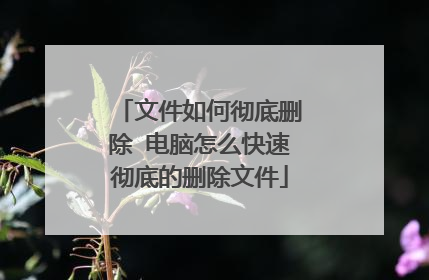 文件如何彻底删除 电脑怎么快速彻底的删除文件