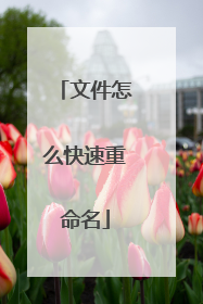 文件怎么快速重命名