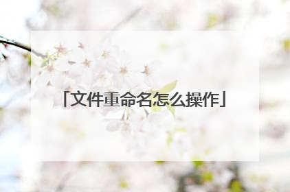 文件重命名怎么操作