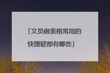文员做表格常用的快捷键都有哪些