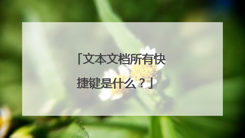 文本文档所有快捷键是什么？