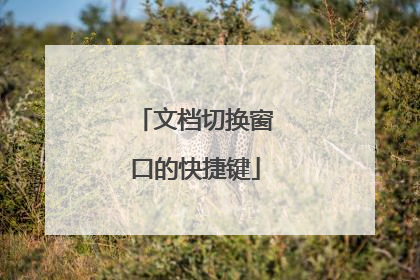 文档切换窗口的快捷键