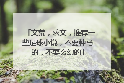 文荒，求文，推荐一些足球小说，不要种马的，不要玄幻的