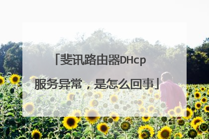 斐讯路由器DHcp 服务异常,是怎么回事