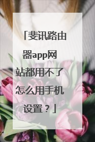 斐讯路由器app网站都用不了怎么用手机设置？