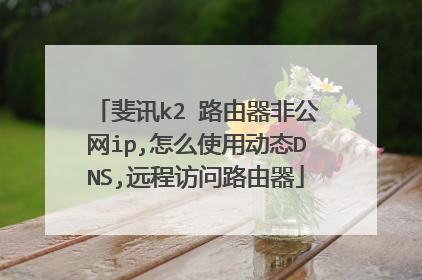 斐讯k2 路由器非公网ip,怎么使用动态DNS,远程访问路由器