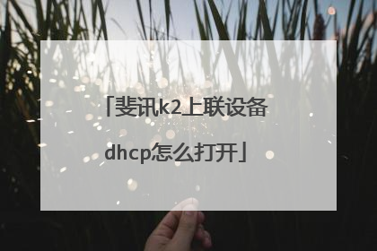 斐讯k2上联设备dhcp怎么打开