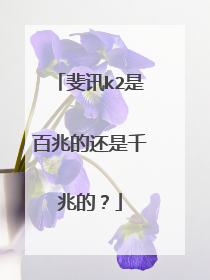 斐讯k2是百兆的还是千兆的？