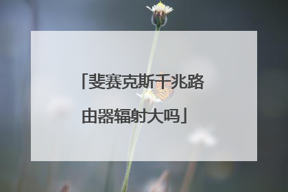 斐赛克斯千兆路由器辐射大吗