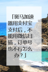 斑马加速器用支付宝支付后，不能用微信扫描，订单号也不行怎么办？