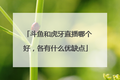 斗鱼和虎牙直播哪个好，各有什么优缺点