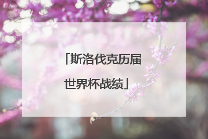 斯洛伐克历届世界杯战绩