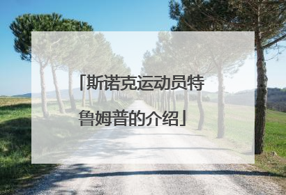 斯诺克运动员特鲁姆普的介绍