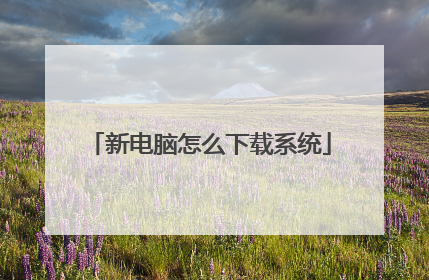 新电脑怎么下载系统