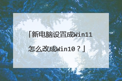 新电脑设置成Win11怎么改成Win10?