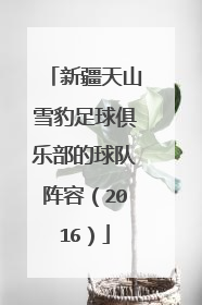 新疆天山雪豹足球俱乐部的球队阵容（2016）