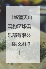 新疆天山雪豹足球俱乐部有限公司怎么样？